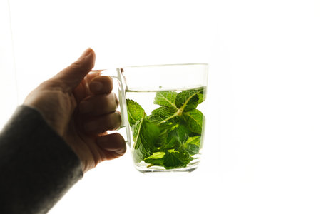 Tea with fresh mint leaves. Mint infusion helps with digestive problemsの写真素材