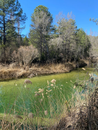 CaÃ±amares beach on the CaÃ±amares river in the province of Cuenca in Castilla la Mancha, Spainの写真素材
