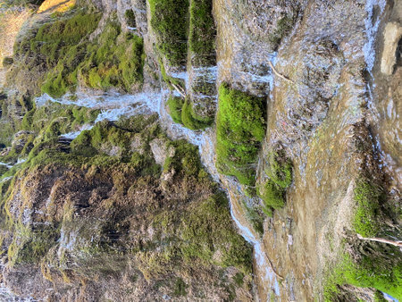 Source of the river Cuervo in the province of Cuenca in Castilla la Mancha, Spainの写真素材