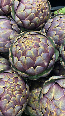 Beautiful Fresh Artichokes at the Marketの写真素材