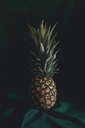 Exotic Elegance: a Pineapple Still Life. Pineapple in Chiaroscuroの写真素材