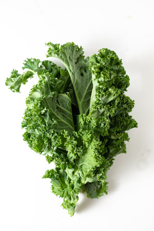 A bunch of fresh kale leaves on a white background.の写真素材