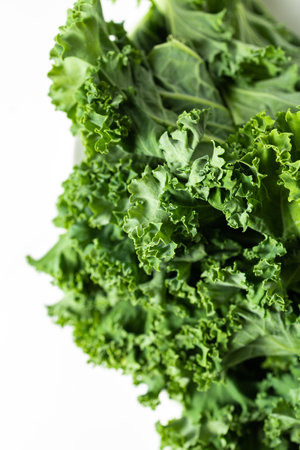 A bunch of fresh kale leaves on a white background.の写真素材