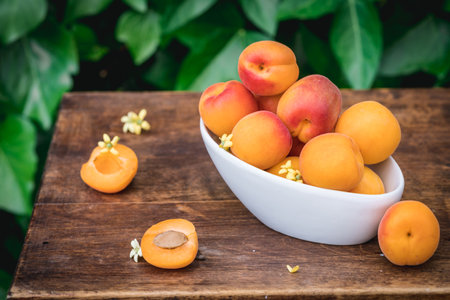 Ripe apricots in a white bowl on a wooden tableの写真素材