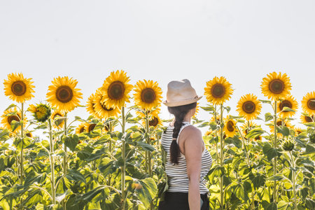 Young woman standing in sunflower field, looking at sunflower.の写真素材