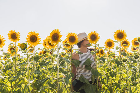 Beautiful asian woman wearing straw hat standing in sunflower fieldの写真素材
