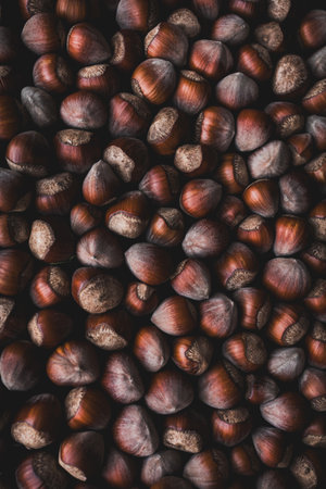 A rustic close-up of hazelnuts arranged to emphasize their natural shells and rich brown tones,...
