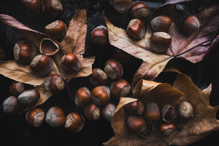 A cozy autumn still life featuring scattered dry leaves and hazelnuts on a dark textured background, perfect for seasonal themes and wallpapersの写真素材