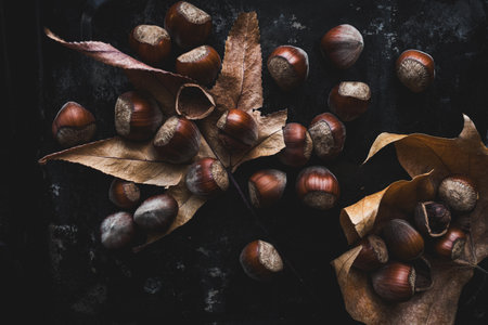 A minimalist autumn-inspired arrangement of dry leaves and hazelnuts scattered across a dark textured background, creating a rustic seasonal moodの写真素材