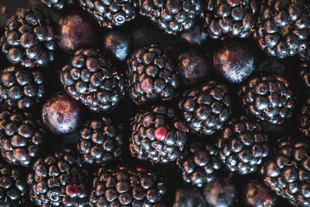 Overhead shot of fresh black grapes and blackberries. Close-up food background showing natural texture, juicy berries, and vibrant dark fruitの写真素材