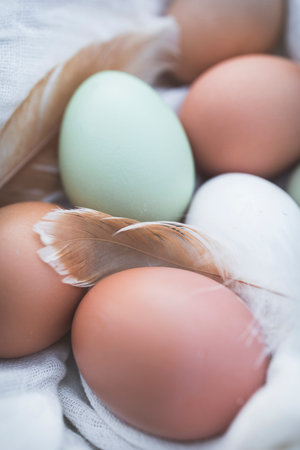 Assorted organic farm eggs in natural tones, with soft feathers around. Rustic and gentle still life symbolizing natural food, country life, and homemade productsの写真素材