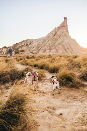 Traveler walking with dog in Bardenas Reales Natural Park, Navarra, Spain.の写真素材