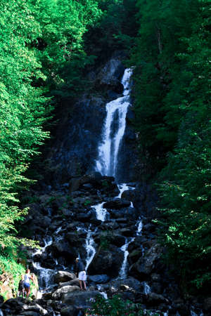 Mountain waterfall falls from above from stone rocks around green trees in sun lightの写真素材