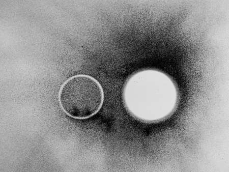 Black coal dust with fragments in the form of a circle on a white background and texture, top view,...