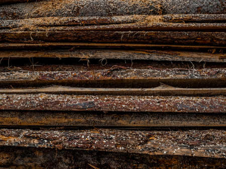 Sticks, boards, wooden logs wooden with knots and sawdust on the sawmill industrial sawing of trees. Background, texture.の写真素材
