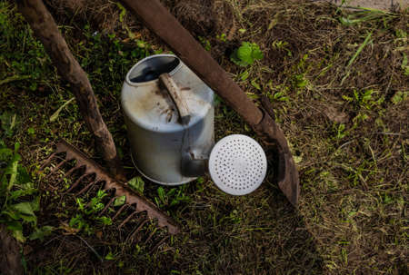 old rake shovel and silvery watering can, village tools of gardener and gardener in the grassの写真素材