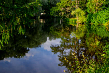 green trees reflected in pond and blue sky with clouds in park in light of bright sun, summer blue...
