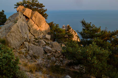 coniferous green trees and bushes grow among large big stones, sharp rocks on coast of blue sea, in...