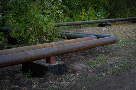 Rusty brown curved metal iron pipes among bushes with green foliage in summer forest. Russia