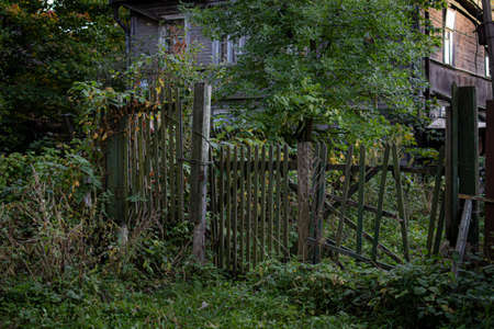 Old rickety wooden fence made in front of village house among autumn trees with foliage and green dense grass. Russian abandoned buildingの写真素材