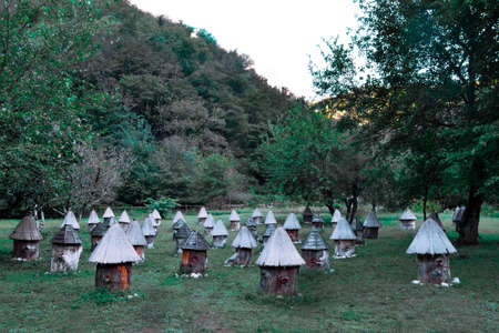 Old wooden bee hives of cylindrical shape in triangular roofs and caps stand among trees in green...