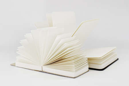 Fan open small notepad and unfold large black notebook with blank light beige pages. White...