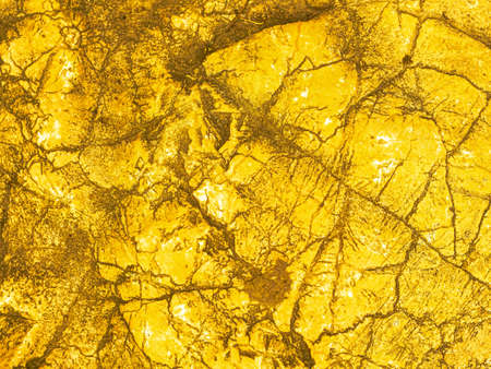 Gold texture rough leaf foil with crack background. Bright shiny yellow abstract textured golden...
