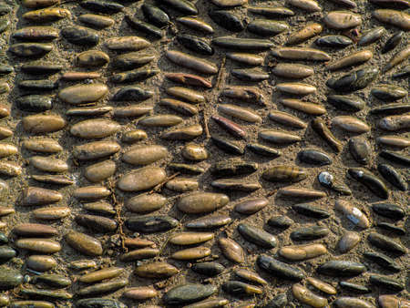 Round horizontal and smooth stones of the same size in a cement path in a city park. Design trail....