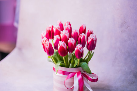 Bouquet of red-white tulips in a round gift box with a pink ribbon in the studioの写真素材