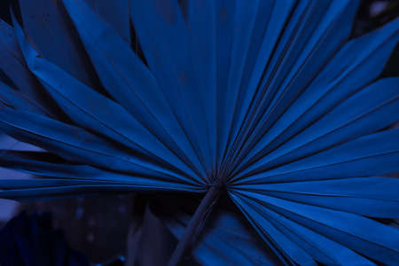 decorative artificial natural paper sheet with geometric leaves flower deep dark blue color. Close-upの写真素材
