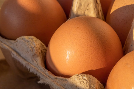 Organic rustic brown golden eggs shining glowing yellow orange in the light of the sunset in a...