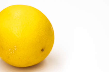 One whole citrus fruit a hybrid of orange and lemon in light orange color on a white background...