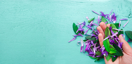 Flowers in hand, against a bright background.の写真素材
