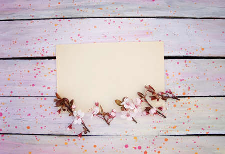 Spring flowers on a mock up derevyannos backgroundの写真素材