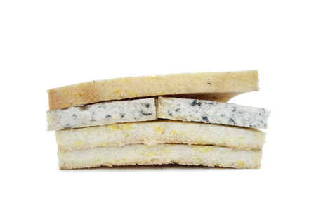 Isolated on white slices of foam rubber