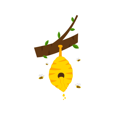 Natural honey in the hive hangs on the tree. Honeycomb and bees wax product. White background. Cartoon vector.のイラスト素材