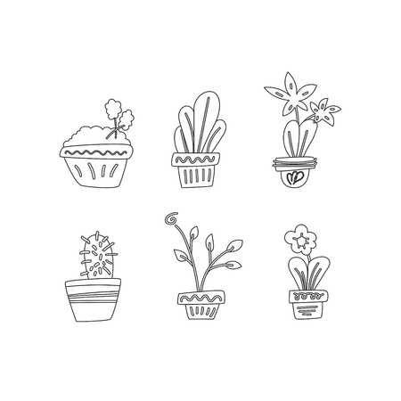 Set Indoor Plants In Line Style On White Background. Vector illustration on white background.のイラスト素材