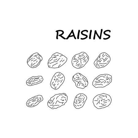 Informative poster sketch set inscription raisins.のイラスト素材