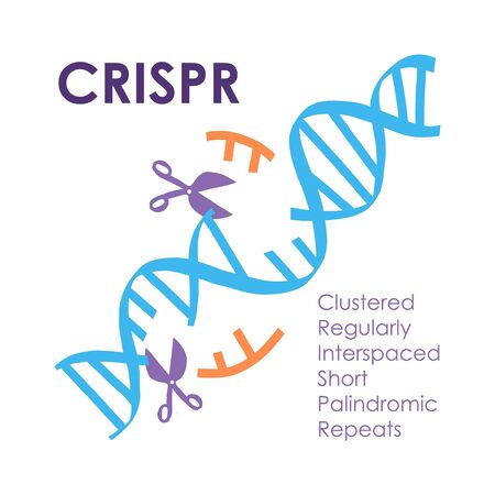Crispr innovation and technology future banner. Clustered regulary interspaced short palindromic repeats. Innovations designed for amazing performance. CRISPR genome editing process.のイラスト素材