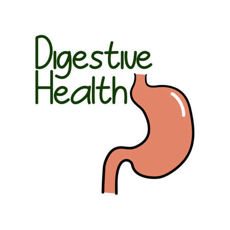 Digestive health label, quality product stickerのイラスト素材