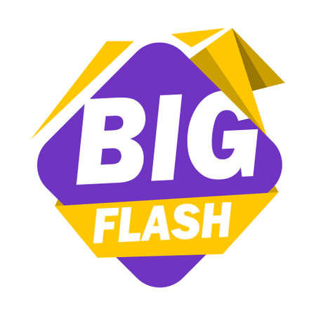 Phrase BIG FLASH, vector illustrationのイラスト素材