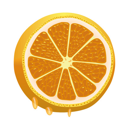 Nice juicy sliced orange, dripping with juiceのイラスト素材