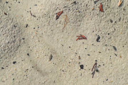 Sand texture, dirty sandの写真素材