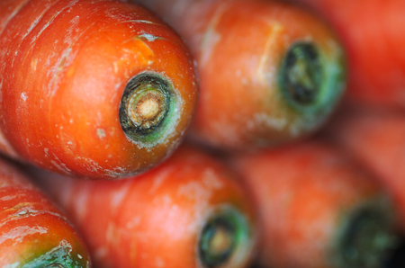 Red Carrots, in black background, macro closeupの写真素材