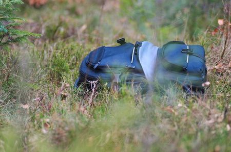 Cherry tomatoes isolated over white backgroundの写真素材
