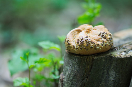 Kaiser roll in the natureの写真素材
