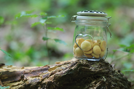 Glass of biscuits in the nature.の写真素材