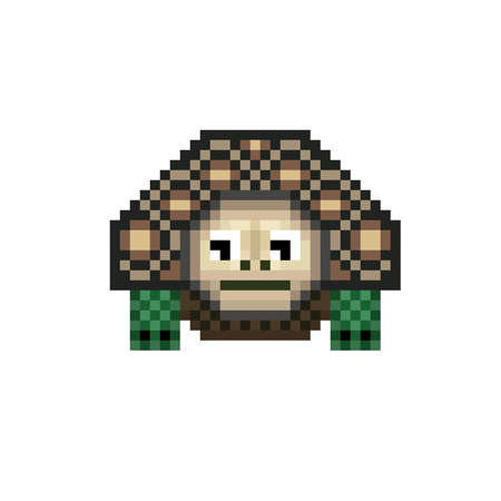 Turtle, animal vector illustration, isolated on white - Vectorのイラスト素材