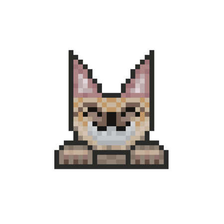 Animal cat pixel look icon, vector illustration, isolated on white - Vectorのイラスト素材