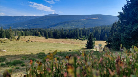 Scenery of giant mountains, view